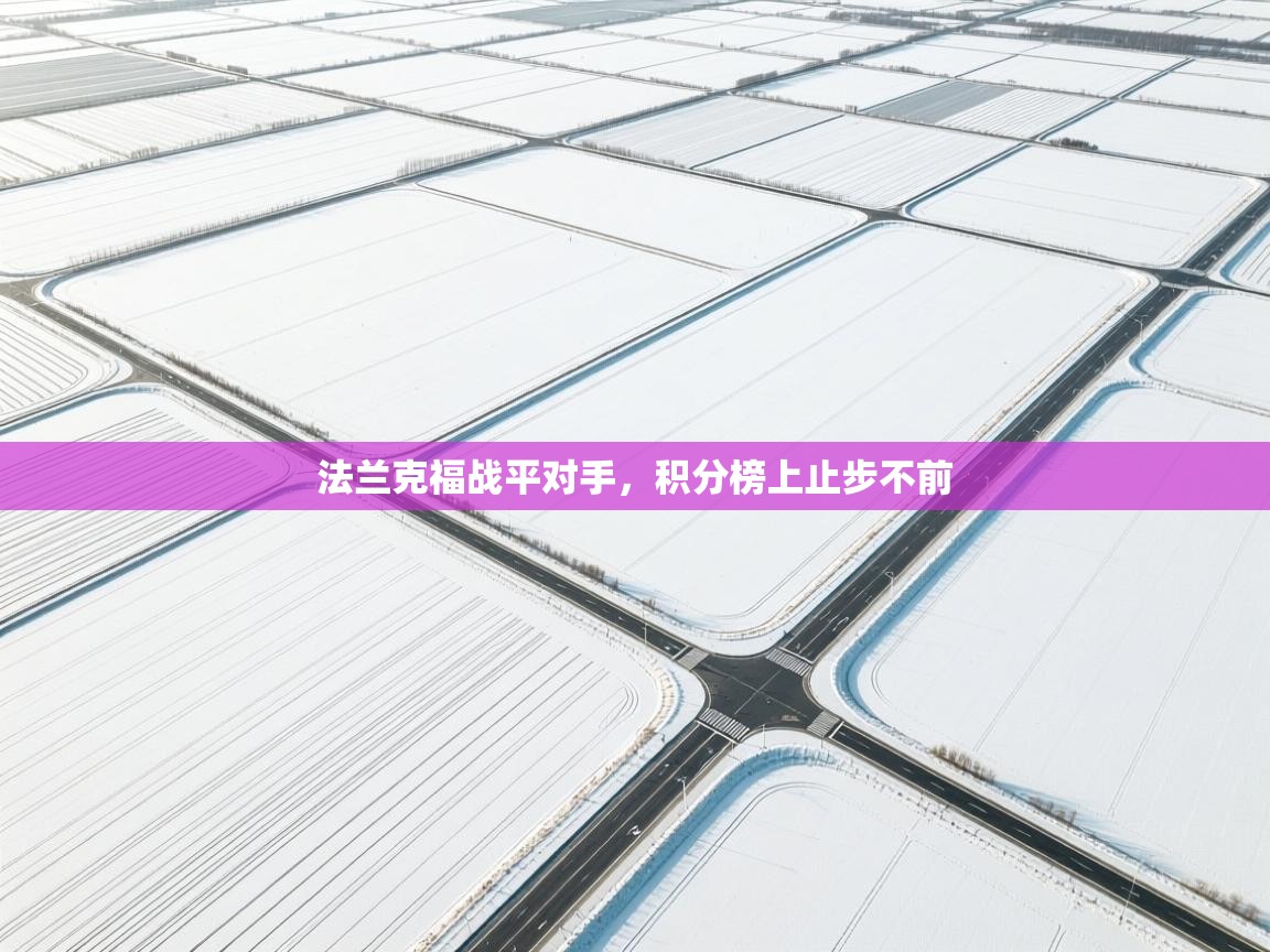 问鼎娱乐app下载-法兰克福战平对手,积分榜上止步不前 第1张