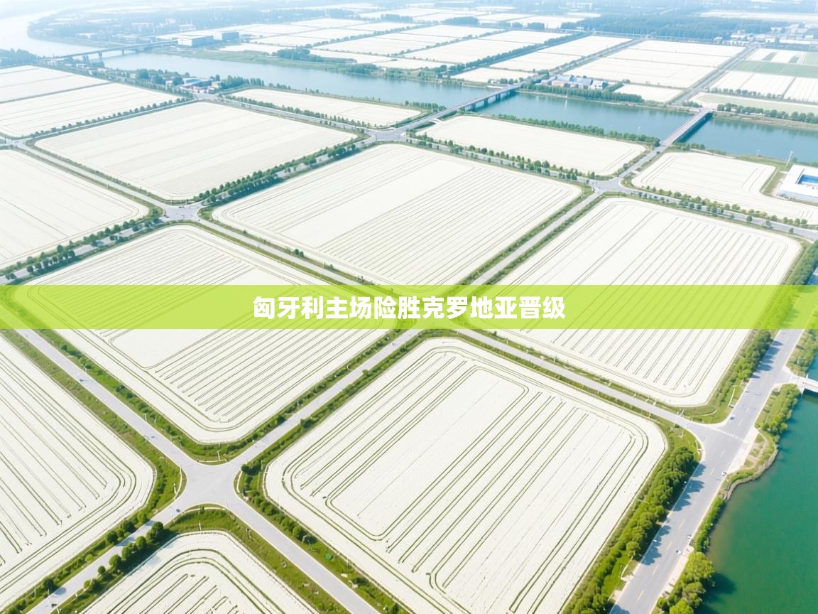 -匈牙利主场险胜克罗地亚晋级  第2张