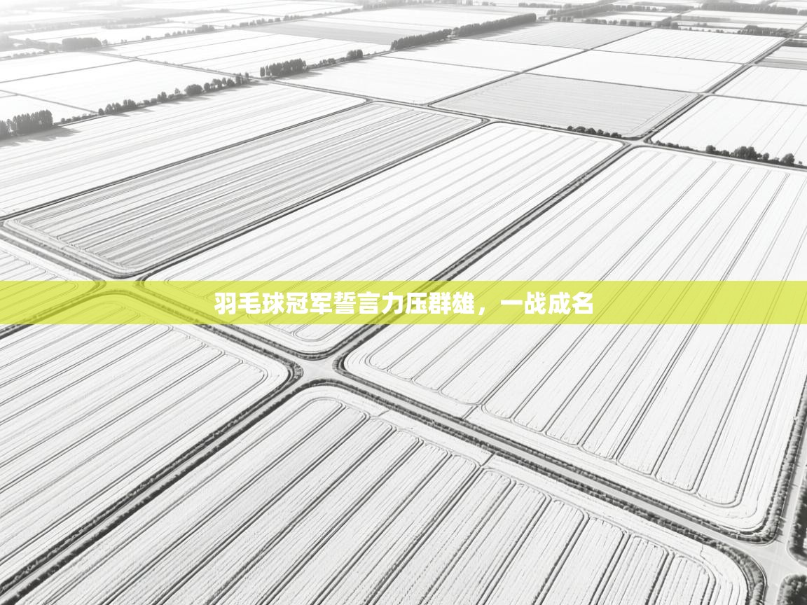 问鼎app注册官网-羽毛球冠军誓言力压群雄，一战成名  第4张