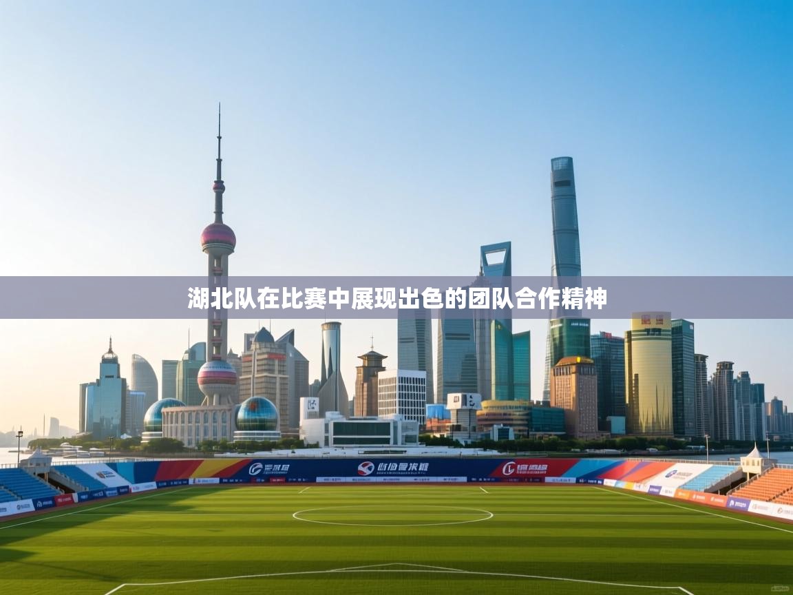 问鼎体育娱乐电子网页版入口-湖北队在比赛中展现出色的团队合作精神